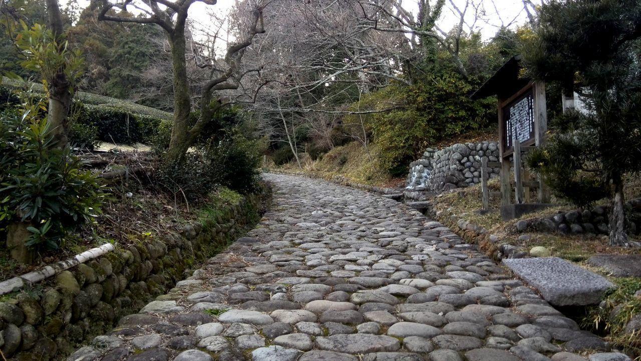 Jemsty Inn Hakone Ashinoko Exterior foto